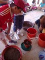 /album/galeria-de-fotos-estou-curioso1/sementeiras-2-jpg/